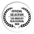 Los Angeles Film Festival 2008