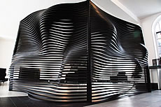 Sang Hoon Kim / Phenomena