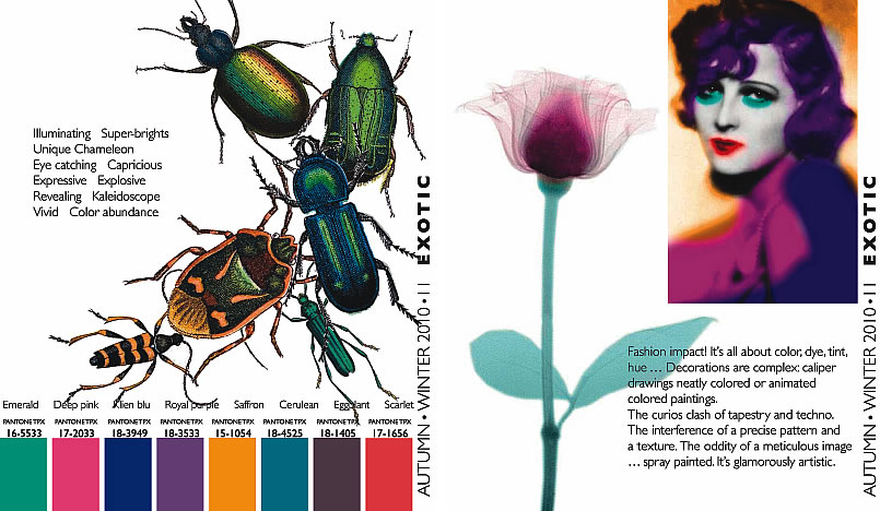 Sustainable Fashion Trends / Design Trends Autumn Winter 2010/2011